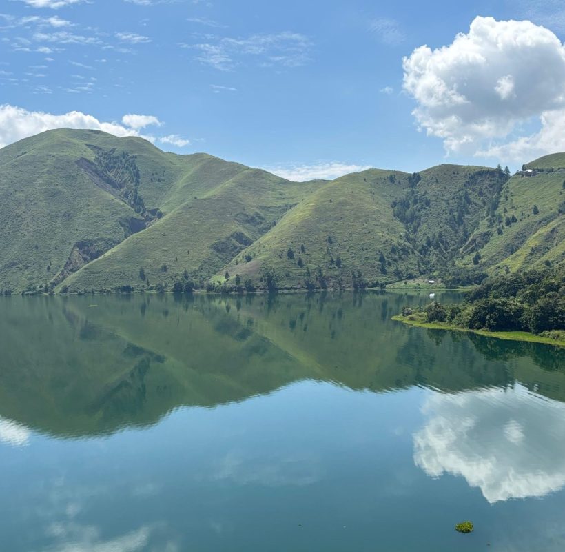 Zuliant (4000 x 5000 px) (1)