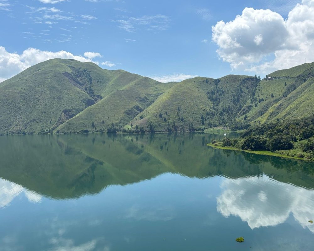 Zuliant (4000 x 5000 px) (1)