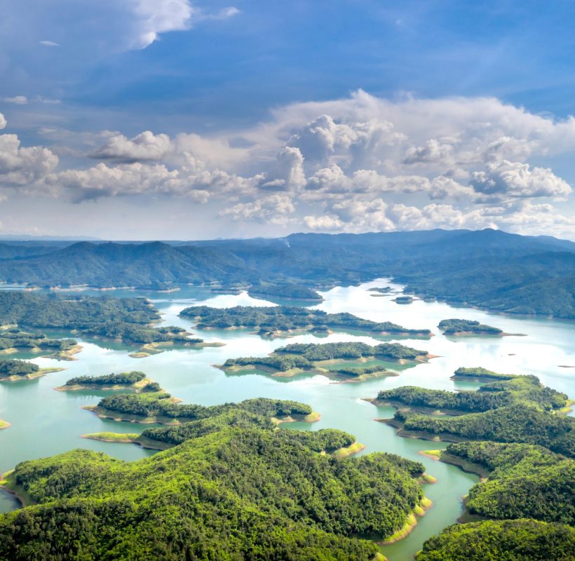 pexels-quang-nguyen-vinh-222549-14023880